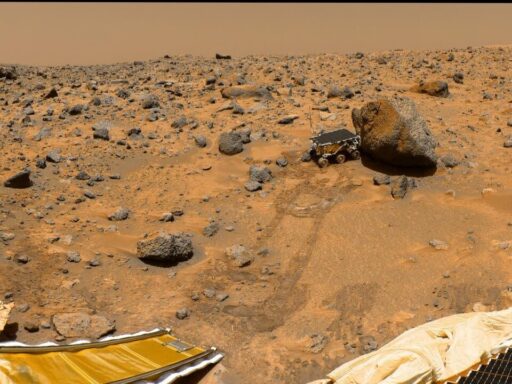 Mars Rock