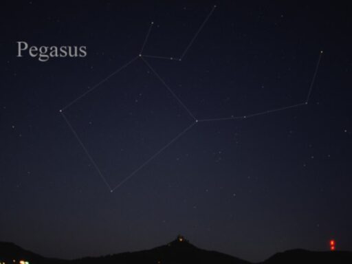 Pegasus constellation in autumn