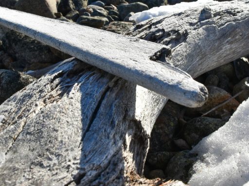 Discovery in Germany