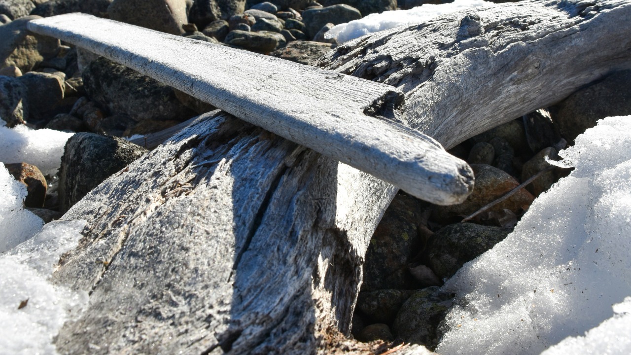 Discovery in Germany