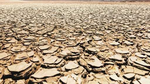 Researchers say the accepted timeline is increasingly under strain