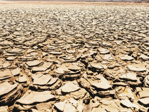 Researchers say the accepted timeline is increasingly under strain