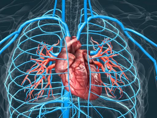 Scientists Discover Stunning Evidence That Your Heart Can Heal Itself