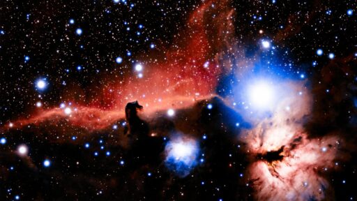 ‘Platypus’ galaxies