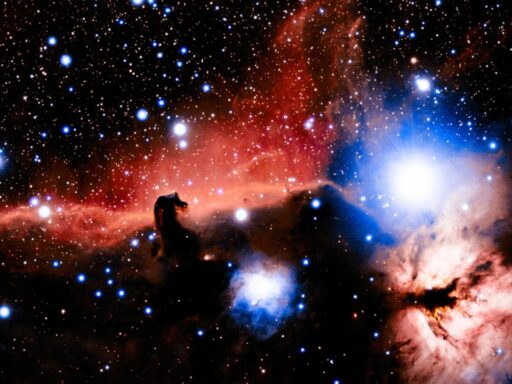 ‘Platypus’ galaxies