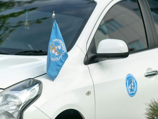 World Health Organization