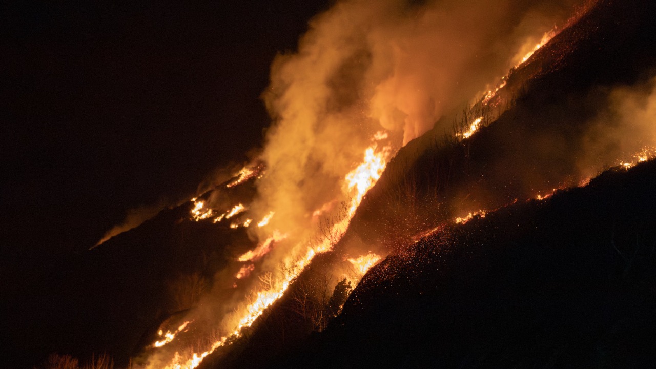 cotton wood fire