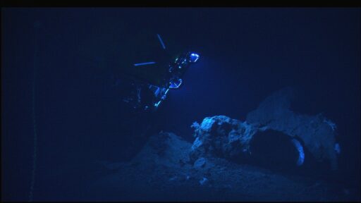 divers