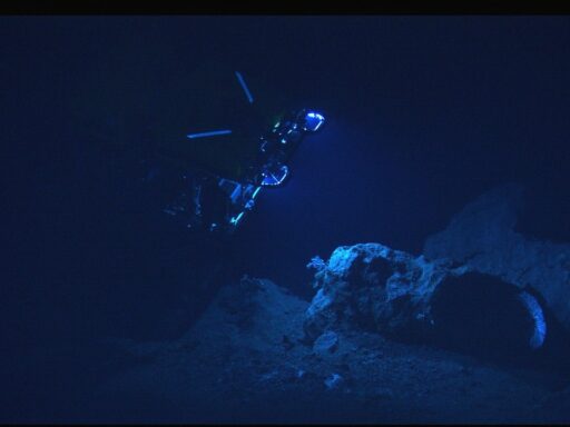 divers