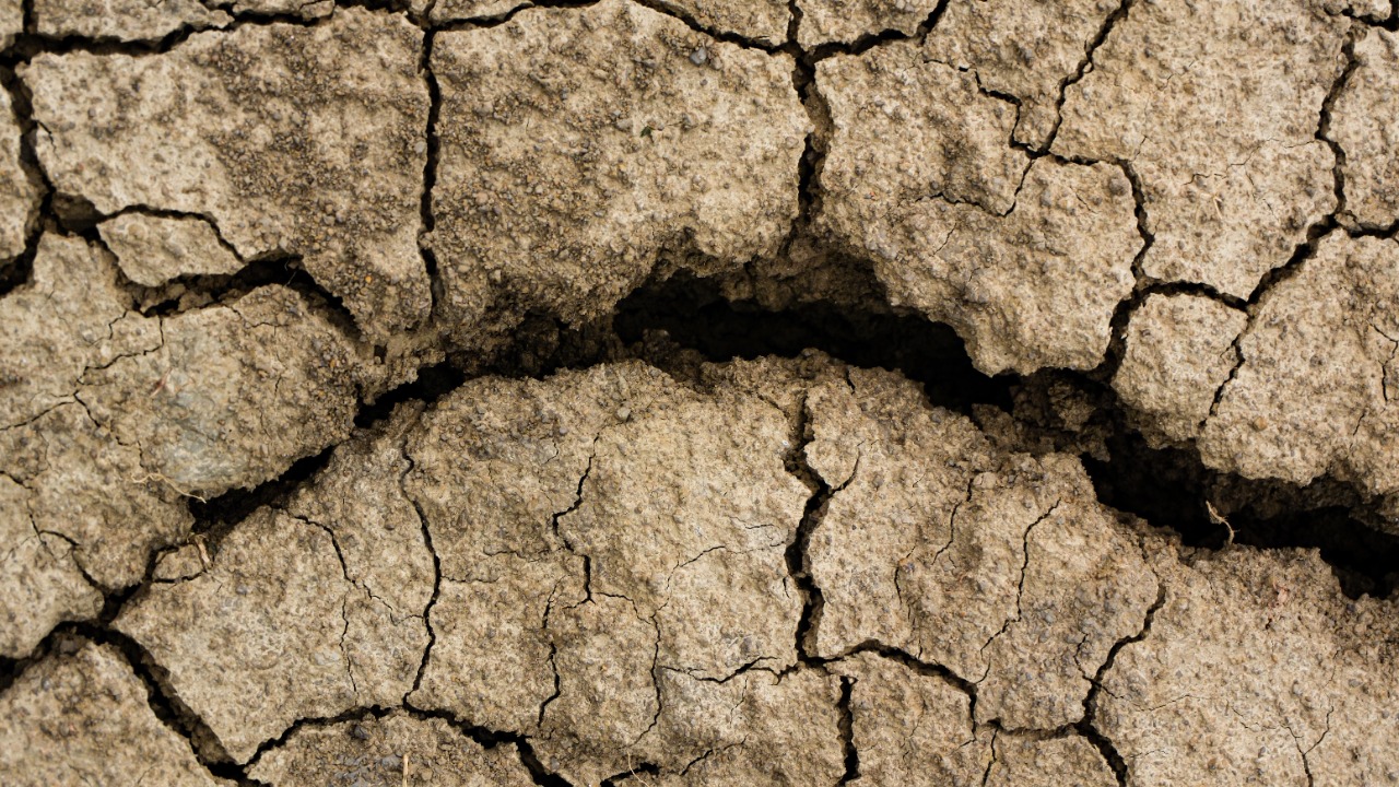 drought