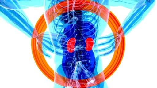 kidney drug