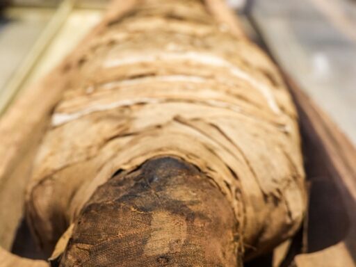 laid mummy