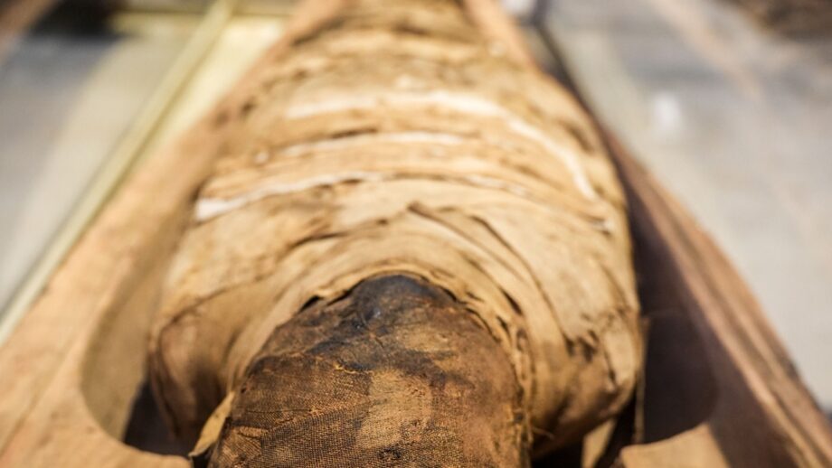 laid mummy