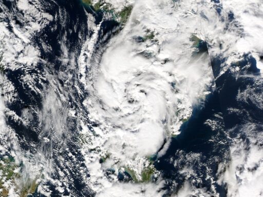 pacific disturbance