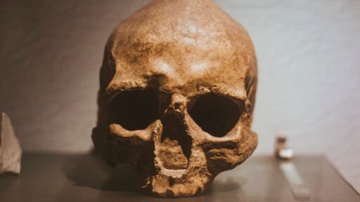 skeleton