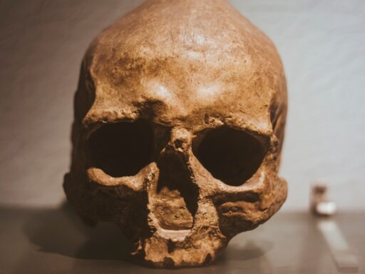 skeleton