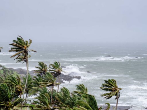 storm