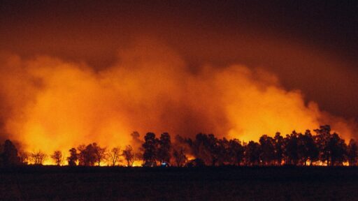 wildfire