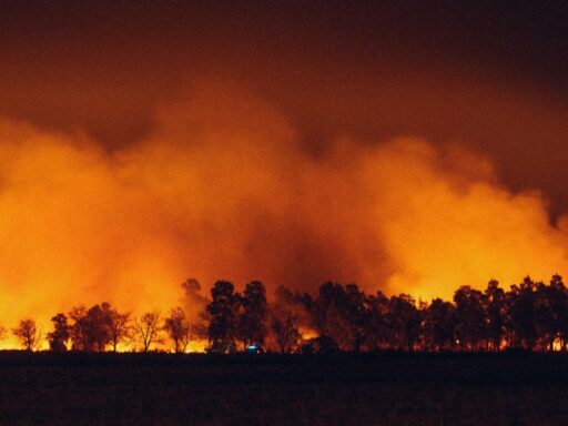 wildfire