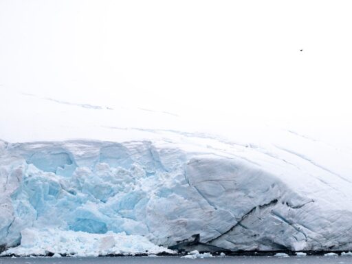 Antarctica