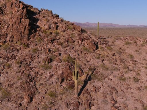 Arizona