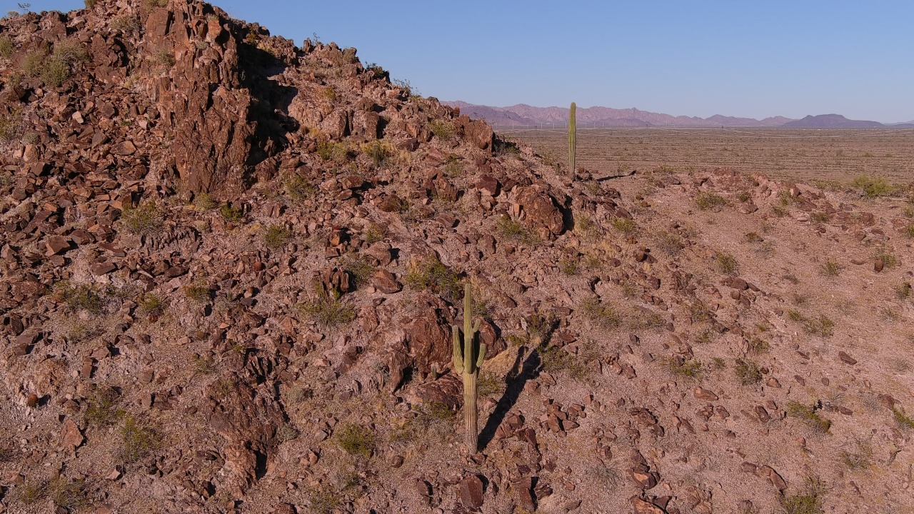 Arizona