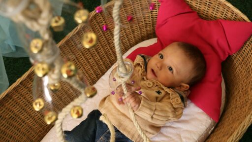 Baby Swings