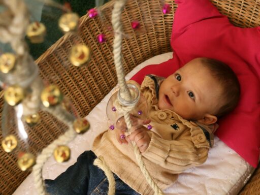 Baby Swings