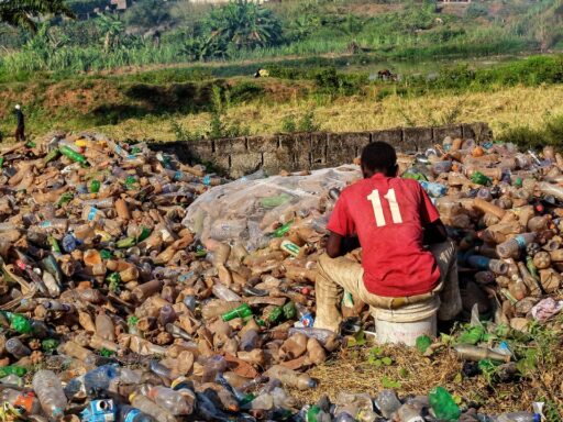 Biodegradable Plastics