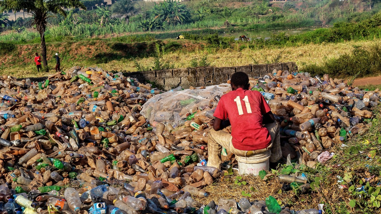 Biodegradable Plastics