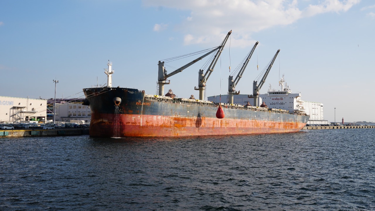 Cargo Ships