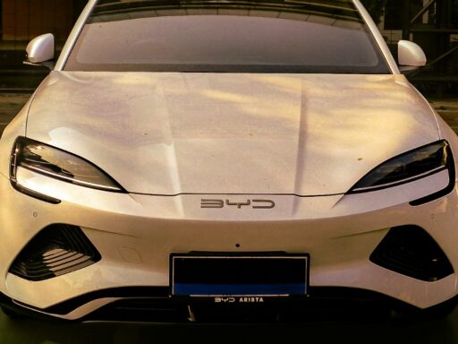 Chinese EVs