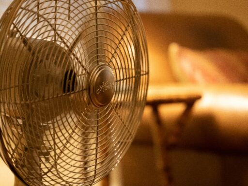 Fan