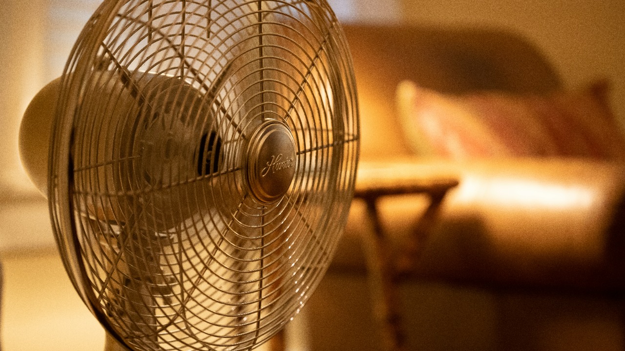 Fan