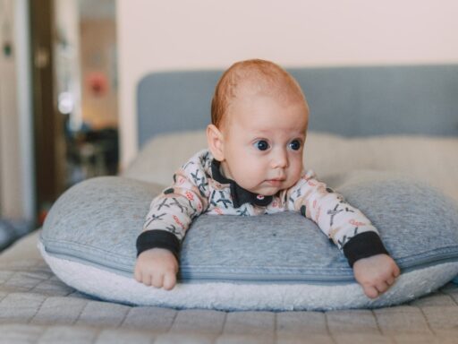 Infant loungers