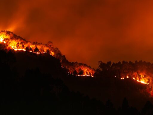 Mountain burning