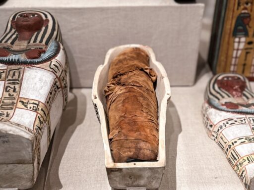 Mummies