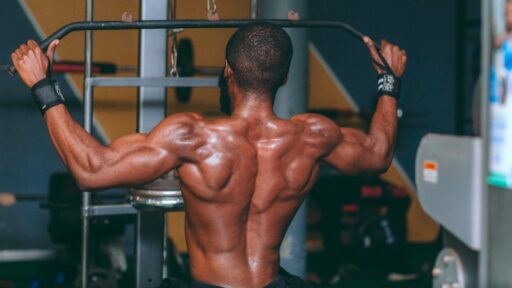 Muscle