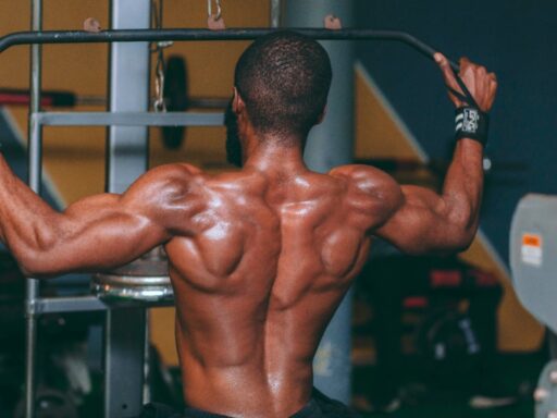 Muscle