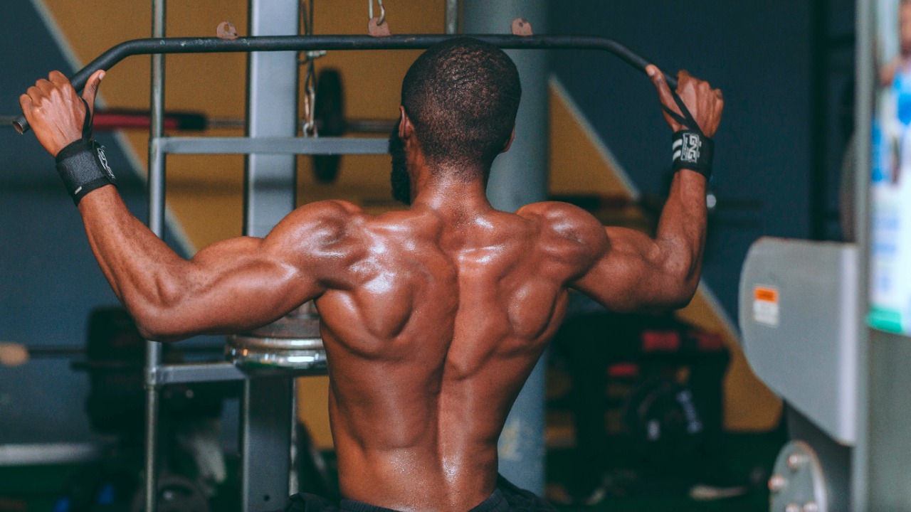 Muscle