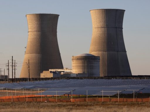 nuclear reactor