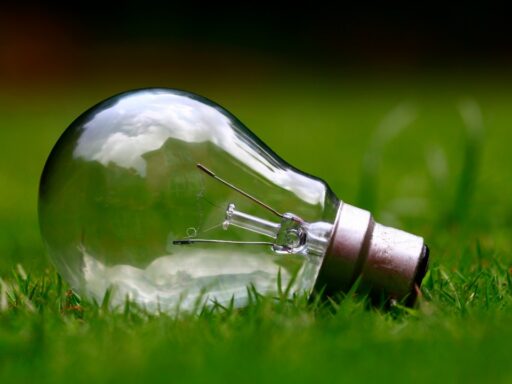 Renewable Electricity
