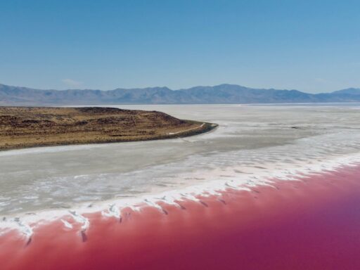 Salt Lake
