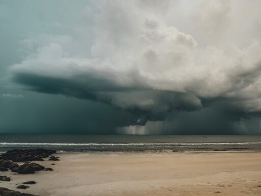 Tropical Storm
