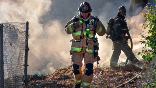 Wildfire