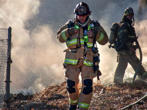 Wildfire