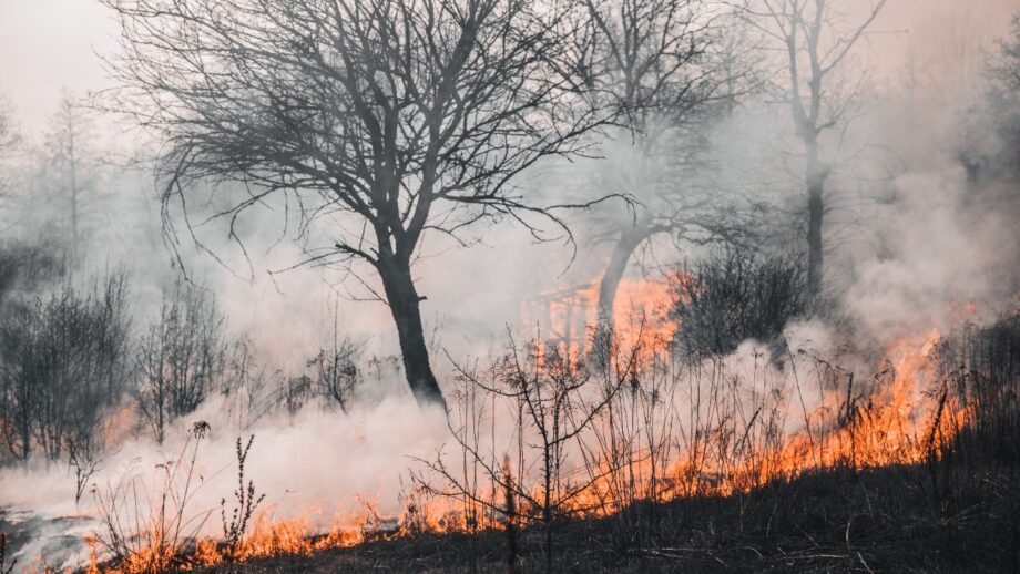 fire