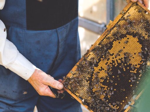 beekeepers