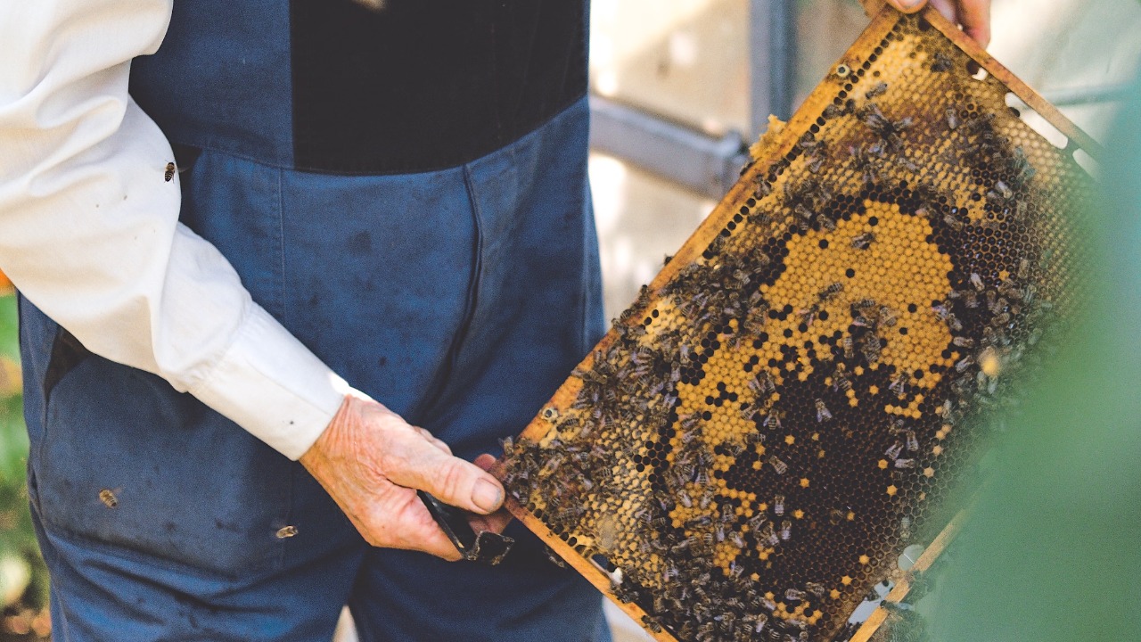 beekeepers