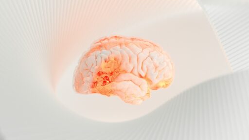 brain